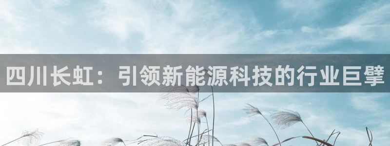 sunbet官网开户登录手机版