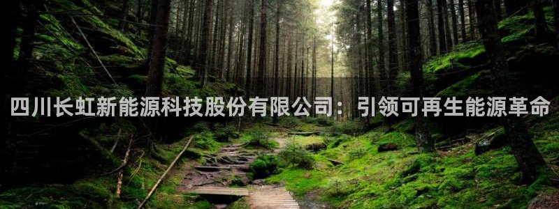 sunbet申搏地址