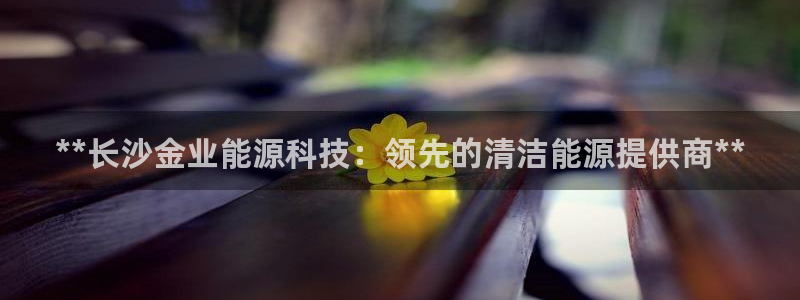 sunbet安卓下载