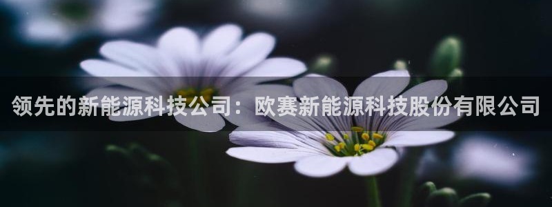 sunbet手机网页版