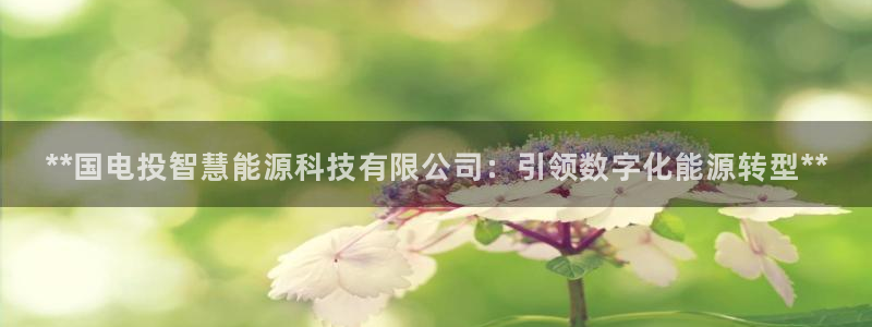 sunbet手机网页版本