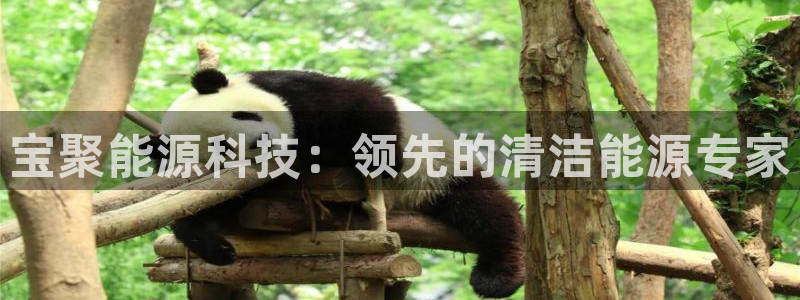 申博手机网址