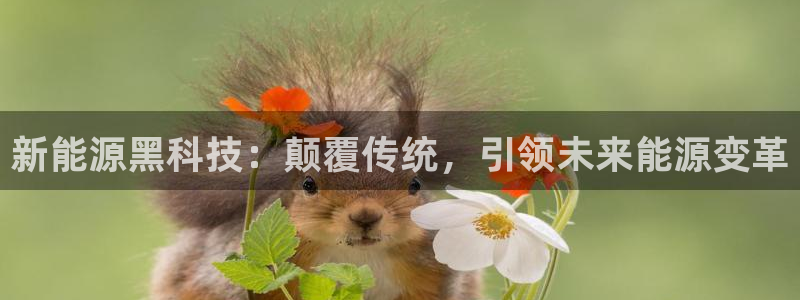 申博官网手机版下载app