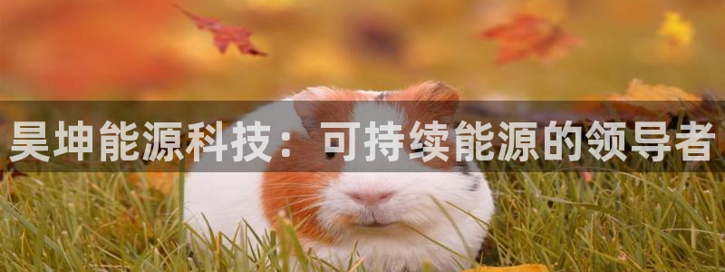 sunbet申搏平台