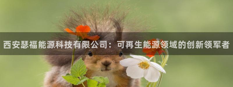 sunbet游戏网