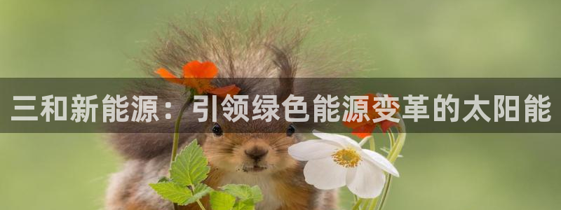 申博手机网址