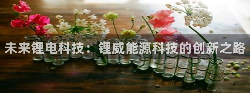 申博官方网站