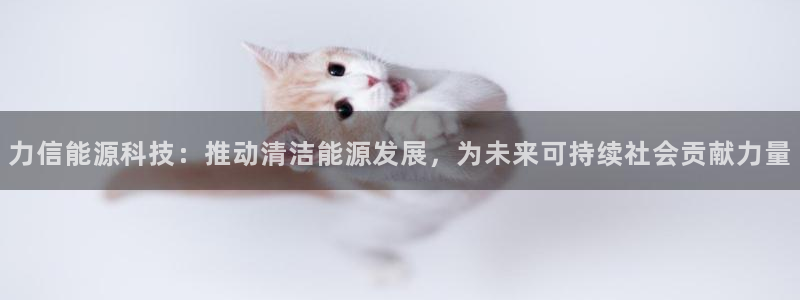 sunbet官网手机版