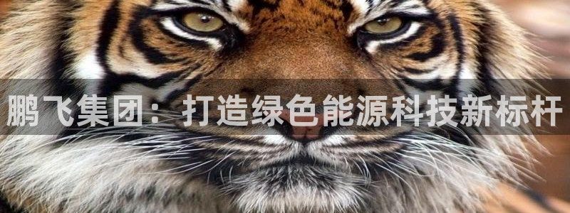 申慱sunbet版app