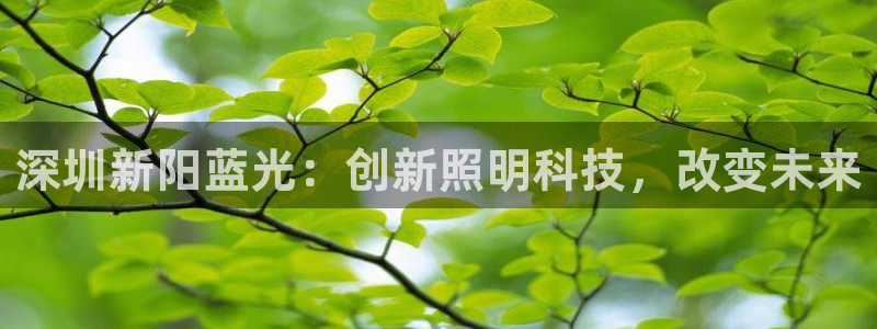 sunbet官网手机版登录