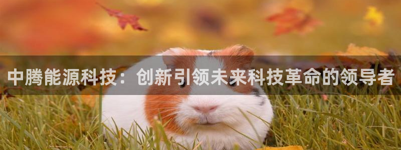 申博手机版官网