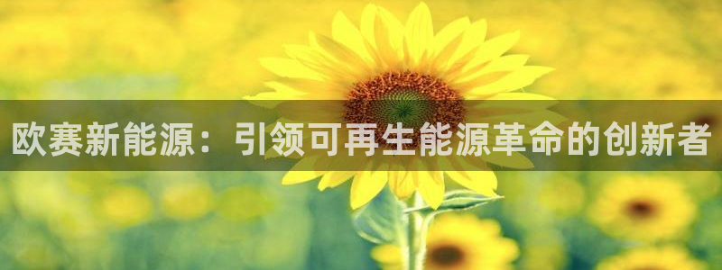 sunbet官网代理下载
