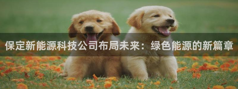 sunbet申搏app下载