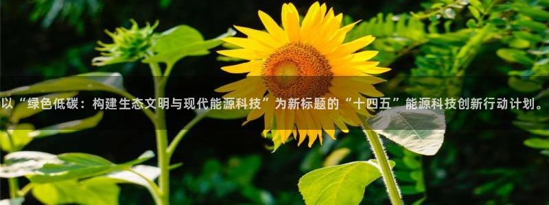 申博官网手机版下载app