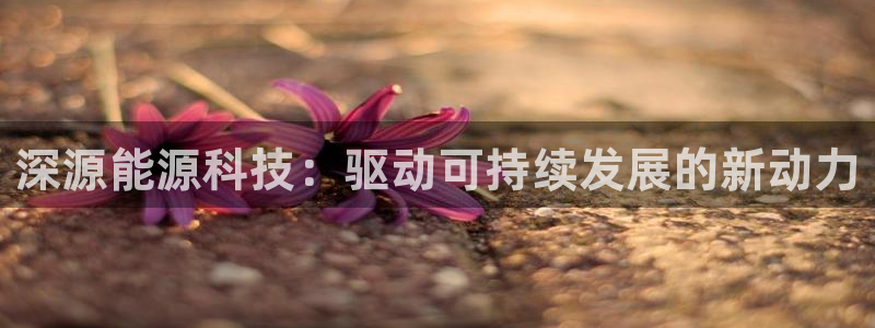 sunbet中国官网