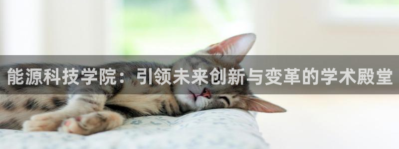 申慱sunbet手机版登