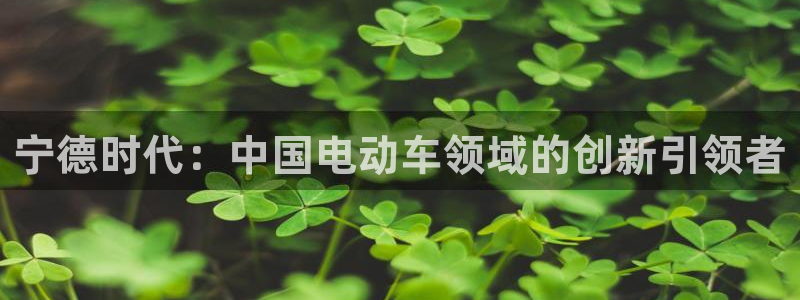 sunbet官网app首页